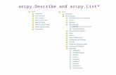 Arcpy.Describe and arcpy.List*. Describing objects ArcGIS interacts with a number of types of objects arcpy.Describe(object) exposes object properties.