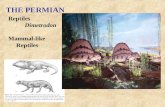THE PERMIAN Reptiles Dimetrodon Mammal-like Reptiles.