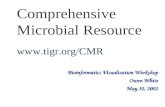 Comprehensive Microbial Resource  Bioinformatics Visualization Workshop Owen White May 30, 2002.