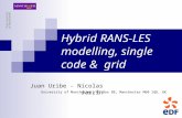 1 Hybrid RANS-LES modelling, single code & grid Juan Uribe - Nicolas Jarrin University of Manchester, PO Box 88, Manchester M60 1QD, UK.
