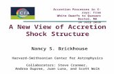 A New View of Accretion Shock Structure Nancy S. Brickhouse Harvard-Smithsonian Center for Astrophysics Collaborators: Steve Cranmer, Andrea Dupree, Juan.