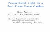 Proportional Light in a Dual Phase Xenon Chamber Elena Aprile for the XENON Collaboration Physics Department and Columbia Astrophysics Laboratory Columbia.