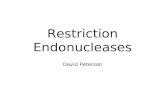 Restriction Endonucleases David Peterson. Structure of DNA and RNA.