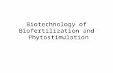 Biotechnology of Biofertilization and Phytostimulation.