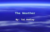 The Weather By: Tai Hadley. What Will the Weather be Today?  Sunny  Stormy  Rainy  Snowy Menu.