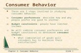 Chapter 3: Consumer BehaviorSlide 1 Consumer Behavior There are 3 steps involved in studying consumer behavior. 1) Consumer preferences: describe how and.