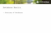 Database Basics Overview of Databases. Arrivederci Pacioli Five primary weaknesses of traditional accounting system (debits and credits): Focus on subset.