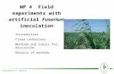 WP 4 Field experiments with artificial Fusarium inoculation Introduction Fixed conditions Methods and traits for discussion Details of methods AVEQ meeting.