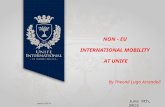 NON - EU INTERNATIONAL MOBILITY AT UNIFE By Theonil Lugo Arrendell June 9th, 2015.