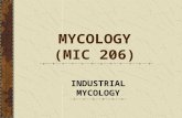 INDUSTRIAL MYCOLOGY MYCOLOGY (MIC 206). FOOD AND BEVERAGES INDUSTRIES.
