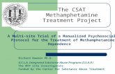 Richard Rawson Ph.D. U.C.L.A. Integrated Substance Abuse Programs (I.S.A.P.) The MTP Site Investigators Funded by the Center for Substance Abuse Treatment.