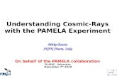 Understanding Cosmic-Rays with the PAMELA Experiment Mirko Boezio INFN Trieste, Italy On behalf of the PAMELA collaboration SILAFAE, Valparaiso December.