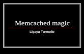 Memcached magic Ligaya Turmelle. What is memcached briefly? memcached is a high-performance, distributed memory object caching system, generic in nature.