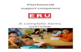 A complete items overview Psychosocial support component