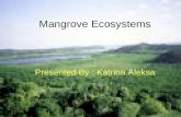 Mangrove Ecosystems Presented By : Katrina Aleksa.