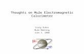 Thoughts on Mu2e Electromagnetic Calorimeter Craig Dukes Mu2e Meeting June 3, 2008.