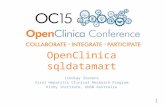 OpenClinica sqldatamart Lindsay Stevens Viral Hepatitis Clinical Research Program Kirby Institute, UNSW Australia 1.