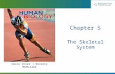 Cecie Starr | Beverly McMillan Chapter 5 The Skeletal System.