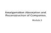 Amalgamation Absorption and Reconstruction of Companies Module 5.