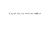 Expenditure Minimization. Set up optimization problem.
