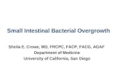 Small Intestinal Bacterial Overgrowth Sheila E. Crowe, MD, FRCPC, FACP, FACG, AGAF Department of Medicine University of California, San Diego.