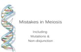 Mistakes in Meiosis Including Mutations & Non-disjunction.