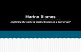 Marine Biomes Exploring the world of marine biomes on a barrier reef.