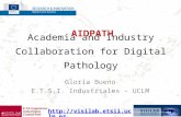 Academia and Industry Collaboration for Digital Pathology Gloria Bueno E.T.S.I. Industriales - UCLM  AIDPATH.