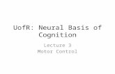 UofR: Neural Basis of Cognition Lecture 3 Motor Control.
