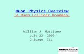 Muon Physics Overview (A Muon Collider Roadmap) William J. Marciano July 23, 2009 Chicago, ILL.