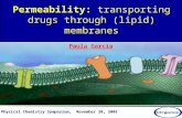 Permeability: transporting drugs through (lipid) membranes 1 st Physical Chemistry Symposium, November 30, 2005 Paula Garcia.