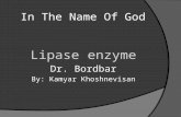 In The Name Of God Lipase enzyme Dr. Bordbar By: Kamyar Khoshnevisan.