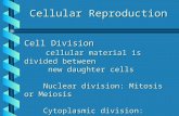 Cellular Reproduction Cell Division cellular material is divided between new daughter cells cellular material is divided between new daughter cells Nuclear.