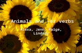 Animals and –er verbs Alexa, Jenn, Paige, Lindsey.