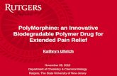 PolyMorphine: an Innovative Biodegradable Polymer Drug for Extended Pain Relief Kathryn Uhrich November 28, 2012 Department of Chemistry & Chemical Biology.