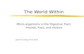 The World Within Micro-organisms in the Digestive Tract: Friends, Foes, and Visitors Janice M. Joneja, Ph.D 2002.