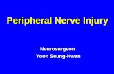 Peripheral Nerve Injury Neurosurgeon Yoon Seung-Hwan.