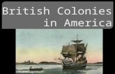 In 1492, Christopher Columbus made a voyage across the Atlantic Ocean in search of the West Indies.  Instead, Columbus landed in the Bahamas (not.