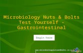 Www.microbiologynutsandbolts.co.uk Microbiology Nuts & Bolts Test Yourself - Gastrointestinal Begin here.