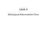 Unit 4 Biological Information Flow. Information Flow.