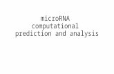 MicroRNA computational prediction and analysis. Resources Lecture notes from previous years: Takis Benos and Ziv Bar-Joseph Slides from: .