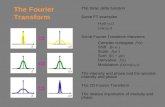The Fourier Transform The Dirac delta function Some FT examples exp(i  0 t) cos(  0 t) Some Fourier Transform theorems Complex conjugate: f*(t) Shift: