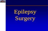 Stephan Eisenschenk, MD Department of Neurology Epilepsy Surgery.
