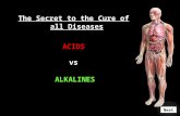 The Secret to the Cure of all Diseases ACIDS vs ALKALINES Next.