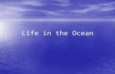 Life in the Ocean. Three Groups of Marine Life Plankton – organisms that float near the ocean’s surface – mostly microscopic Plankton – organisms that.