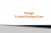 Input image Output image Transform equation All pixels Transform equation.
