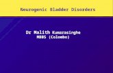 Neurogenic Bladder Disorders Dr Malith Kumarasinghe MBBS (Colombo)