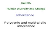 Unit 3A Human Diversity and Change Inheritance Polygenic and multi-allelic inheritance.