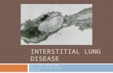 INTERSTITIAL LUNG DISEASE Tee L. Guidotti, MD, MPH, DABT National Medical Advisory Services OEMAC 2010.