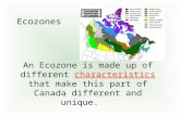 An Ecozone is made up of different characteristics that make this part of Canada different and unique. Ecozones.